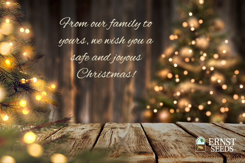 Ernst Seeds tweet media