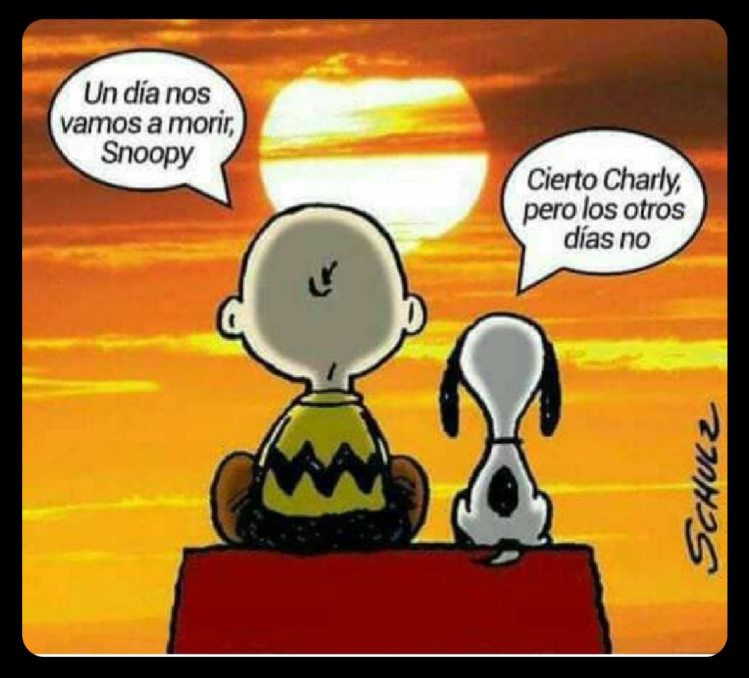 mahurtado2's tweet photo. @pitiklinov Si, somos polvo de estrellas. Feliz Navidad 🎄 https://t.co/1ujNSSBtoL