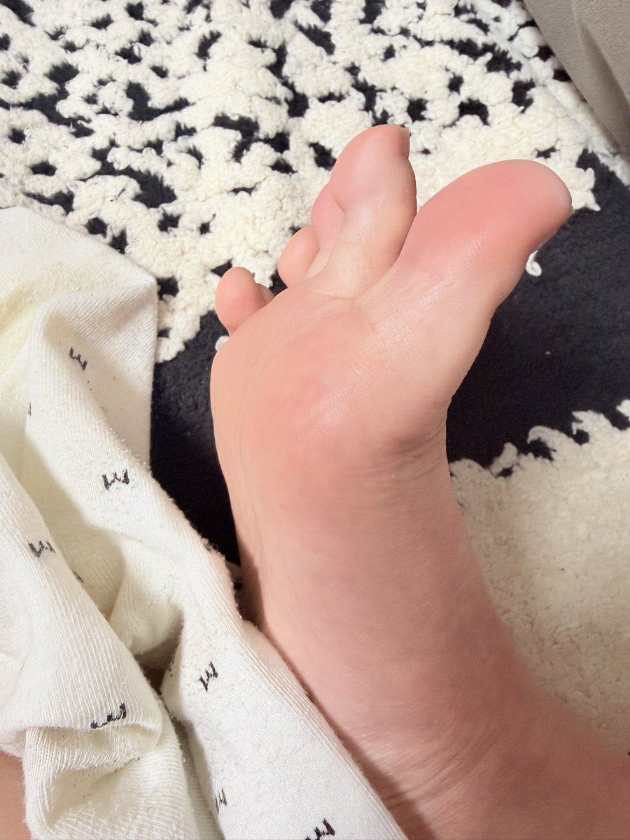 双马尾吕布超性感 tweet media