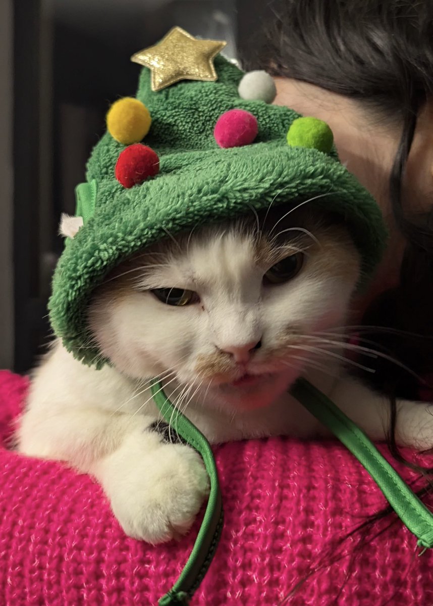 ялиночка вдома тільки така