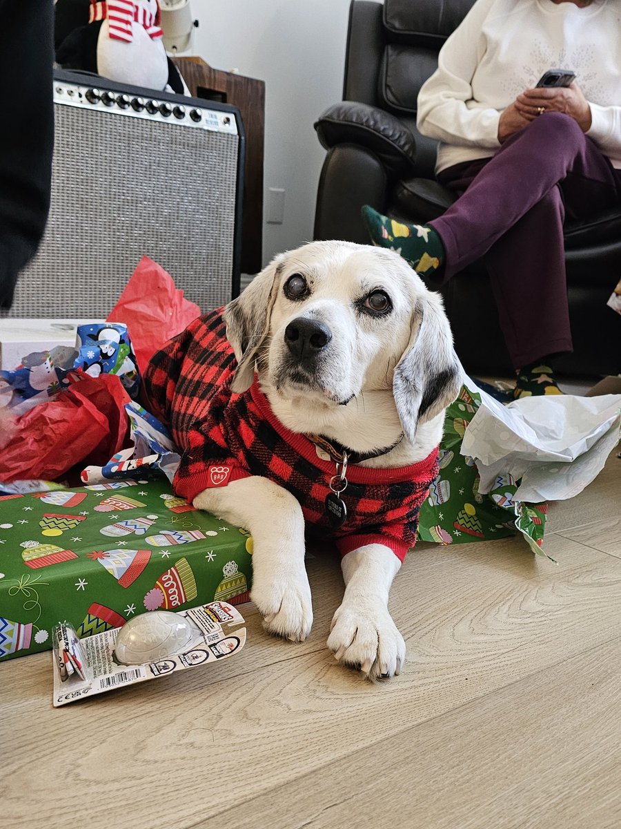 Sir Stanley Zbornak tweet media