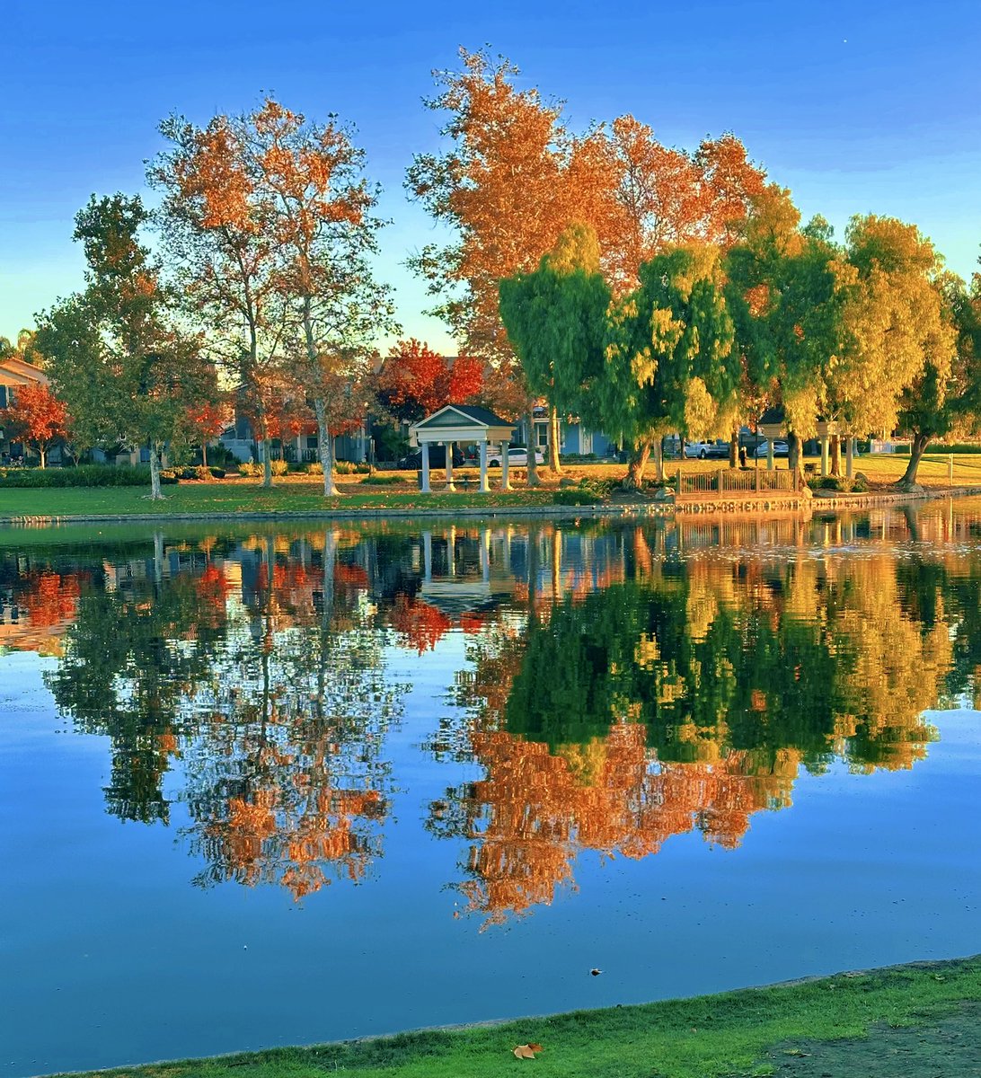 LeAnne Rooks💎 tweet media