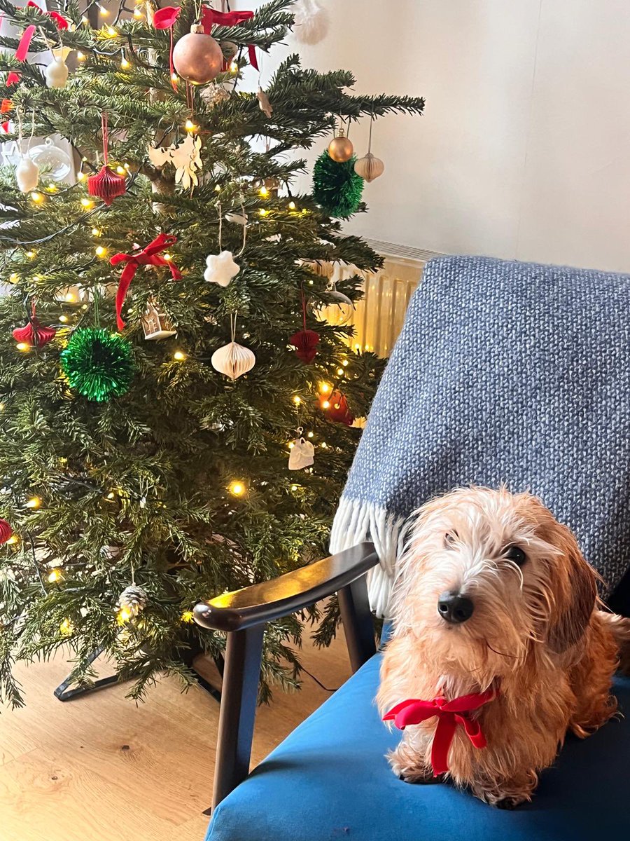 Merry Christmas 🎄