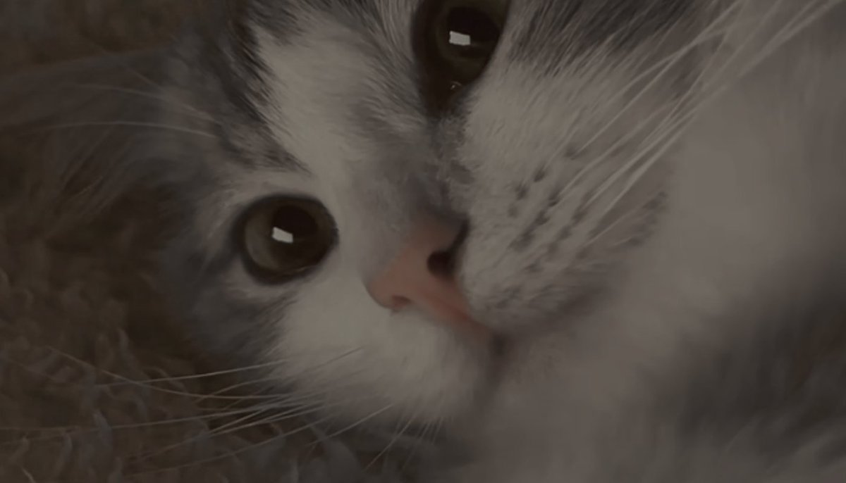 rauncid's tweet image. ⁣　　⁣　　⁣　　⁣⁣⁣
　　　　　　⁣⁣⁣
　　　　　　harry potter night with @ozceane 
　　　　　　missed you dearly, elyu :) 
　　　　　　⁣⁣⁣
　　　　　　⁣⁣⁣