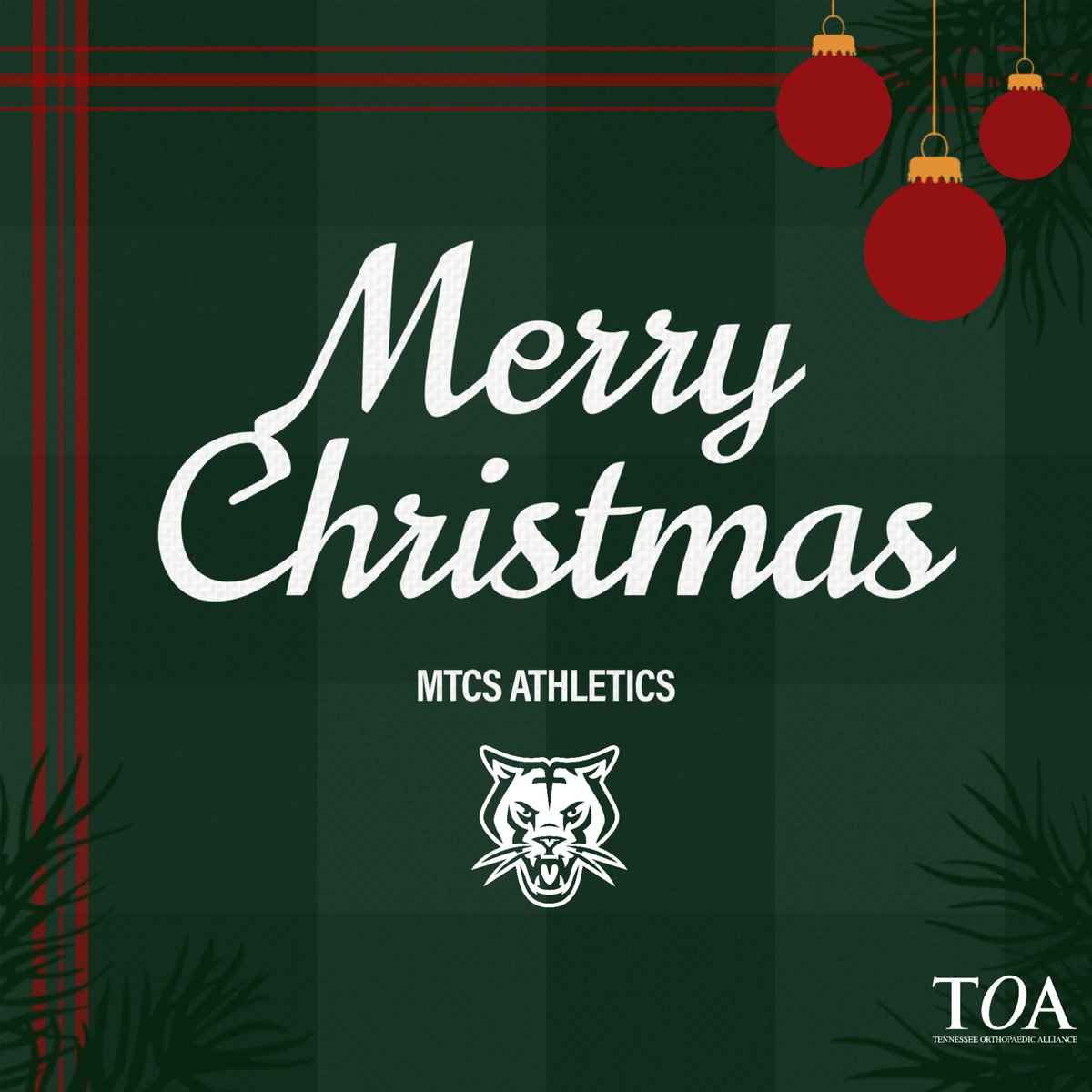 MTCS Athletics (@mtcsathletics) on Twitter photo 