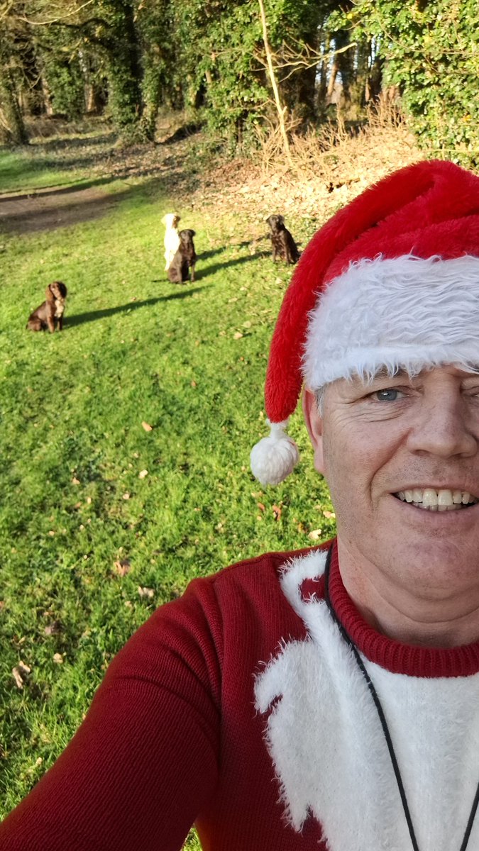 PaulmichaelBEM's tweet photo. Merry Christmas 🎅 to all #LabradorRetriever ##workingcocker @ANBorough @AntrimGuardian https://t.co/fyqA0LJqbg