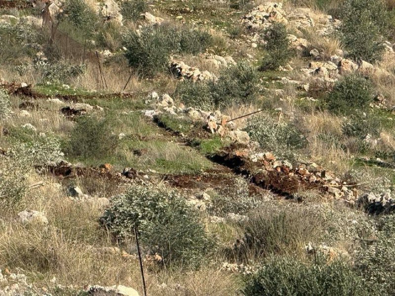 Quds News Network tweet media