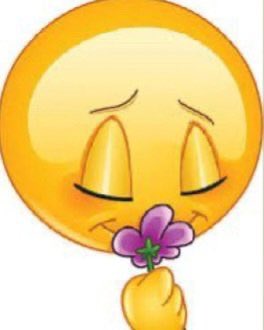 mirandapuglien's tweet image. cuando una chica que yo considero hermosa me responde una historia diciéndome hermosa a mi