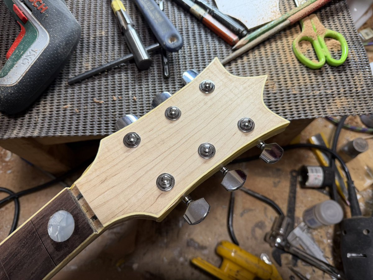 秋セール 見たことがあるようなギターです❗ モッキンバードじゃないけど… 楽天市場】モッキンバード ギターの通販