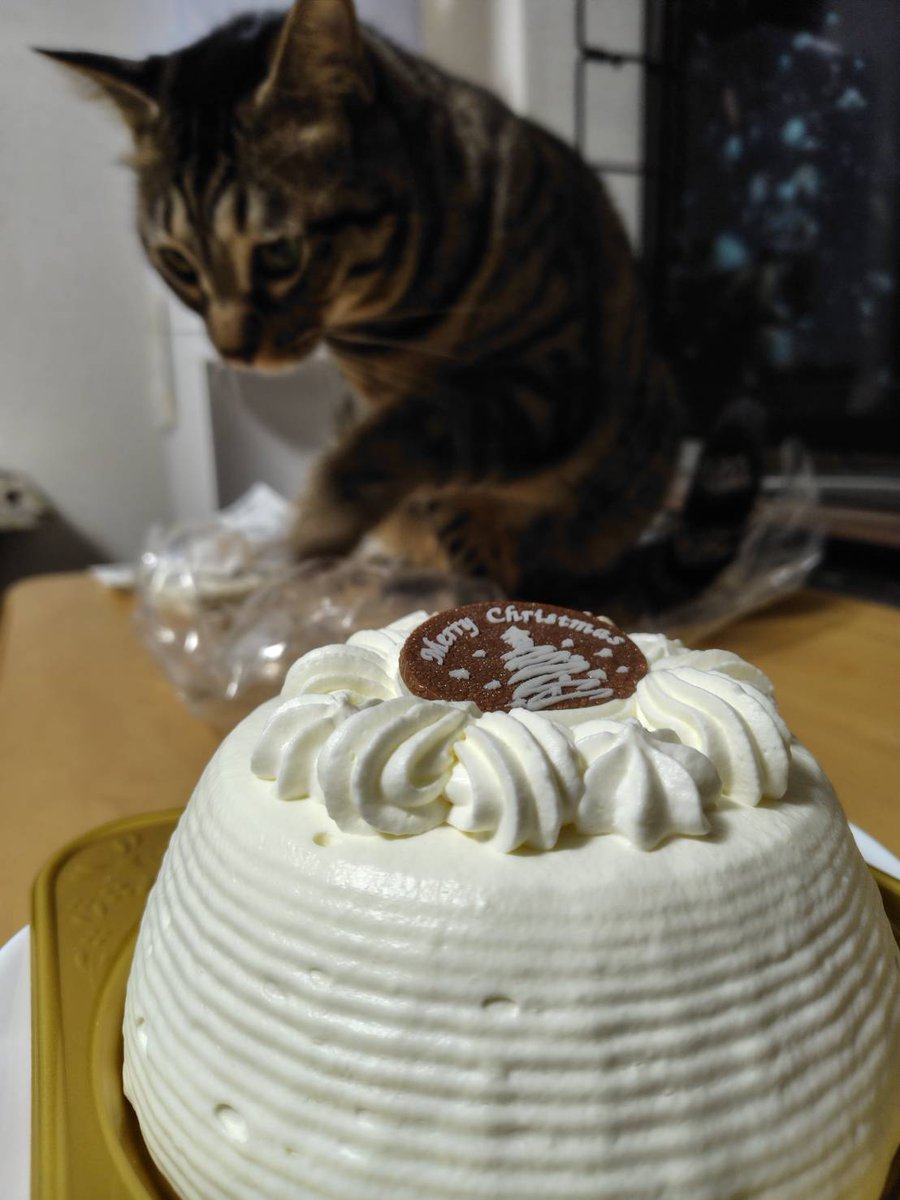 無事ケーキ買えました