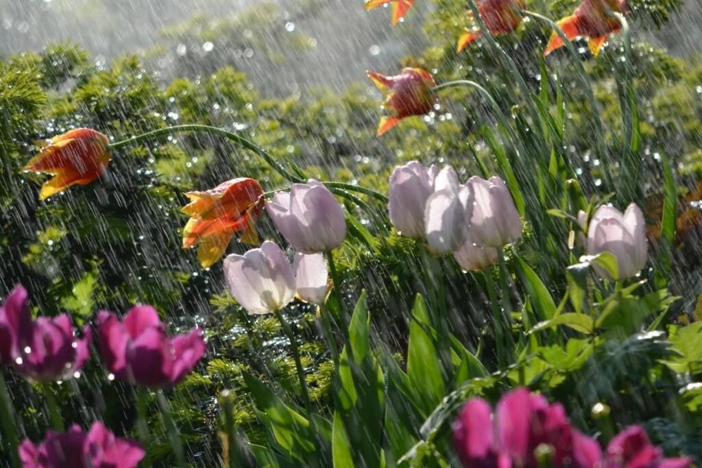 1leio's tweet image. 