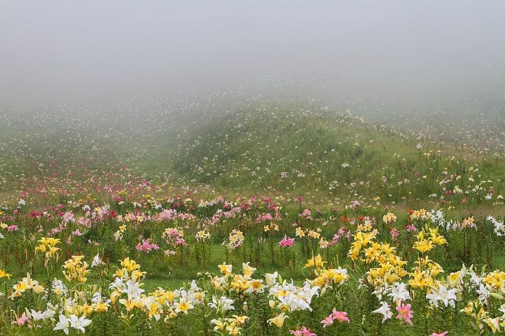 1leio's tweet image. 