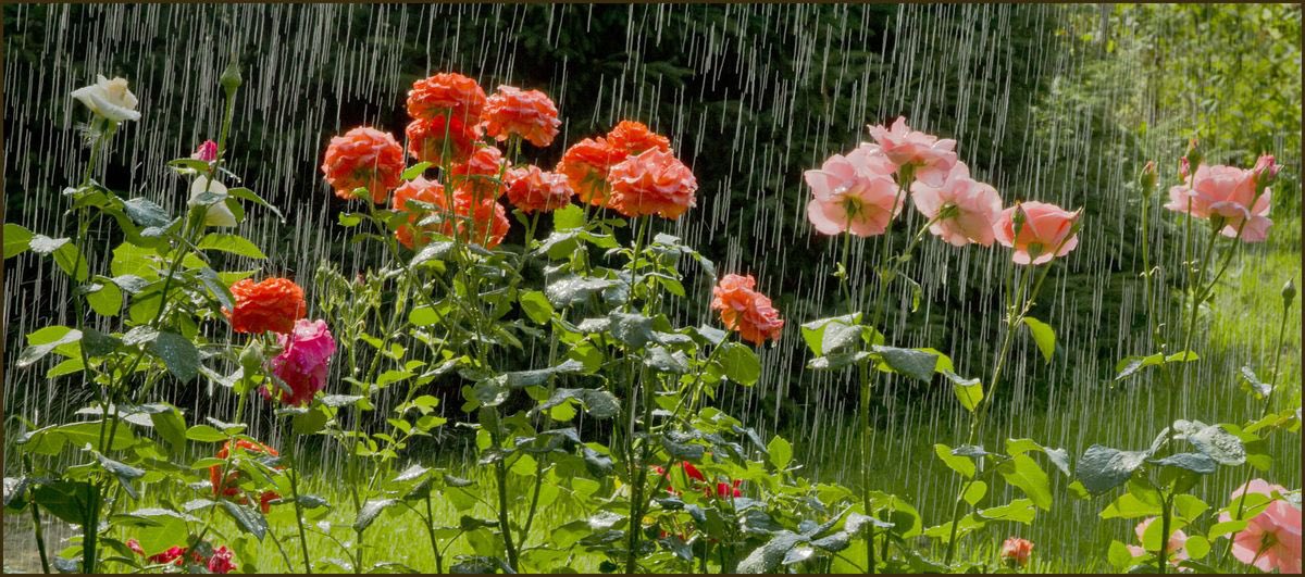 1leio's tweet image. 