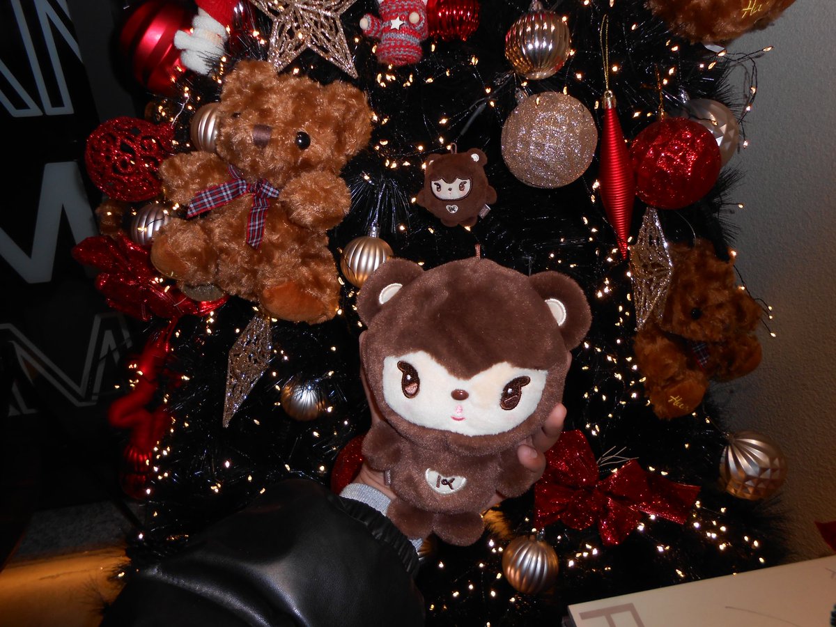 카몽스마스 ❅.⊹₊ ⋆❆‧⋆☃︎ 🎅🏼