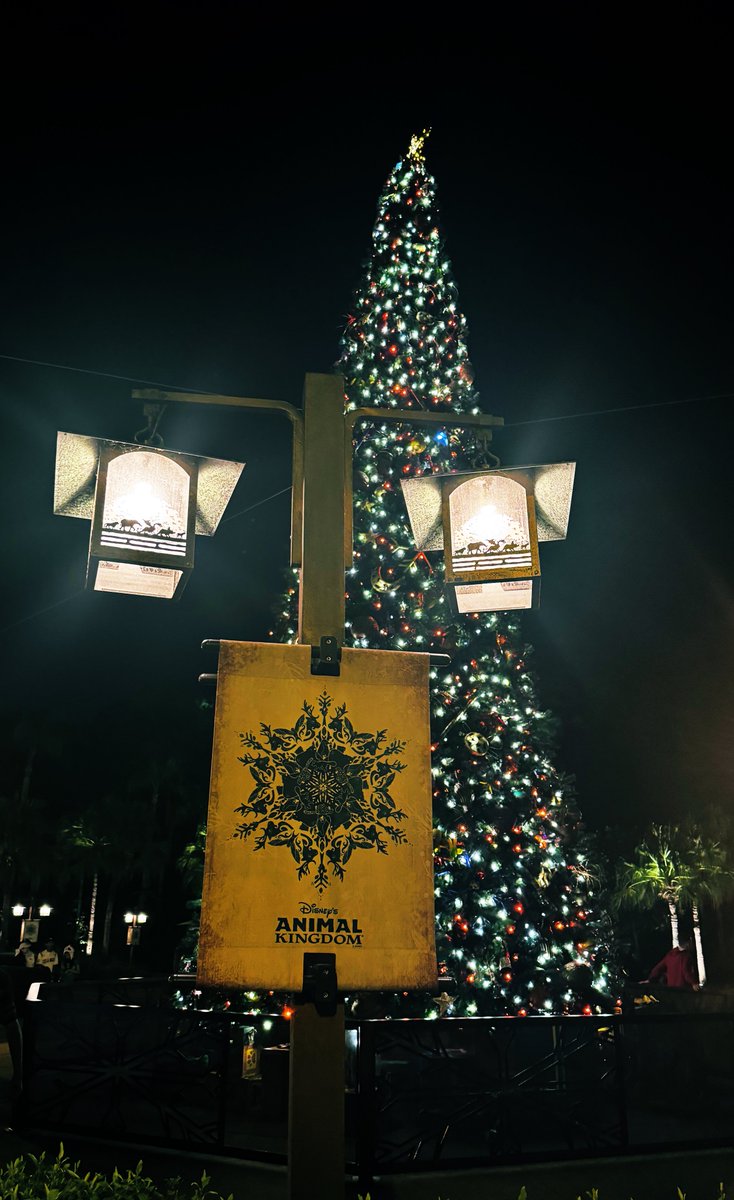Perusuke_JP's tweet photo. 🎄 https://t.co/C0NGdE7WNU