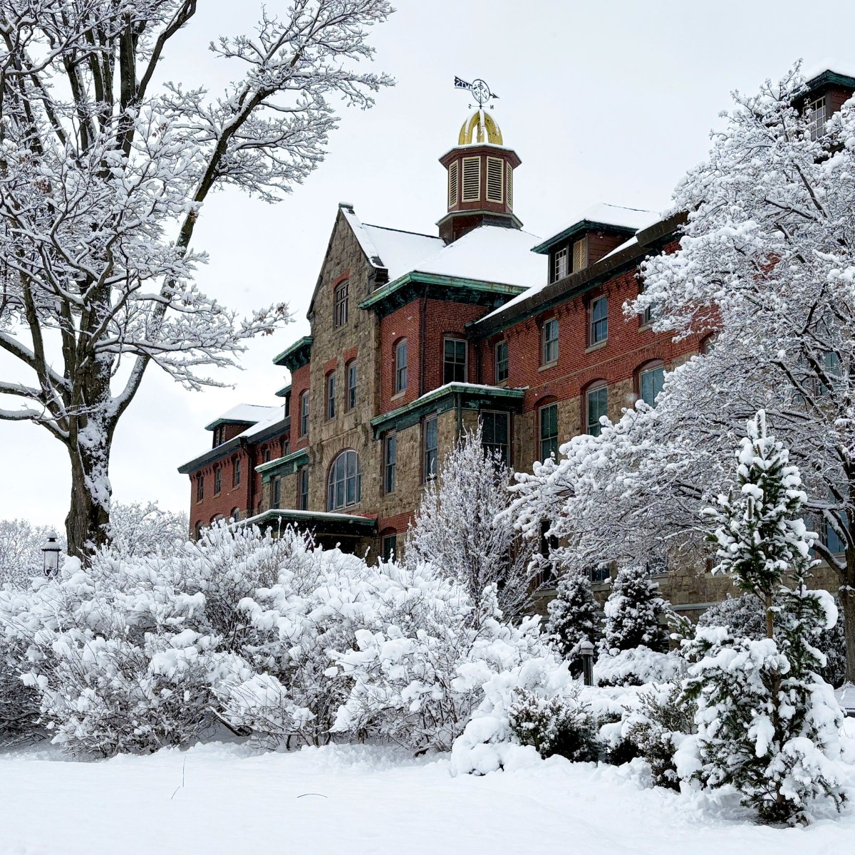 Williamson Trade tweet media