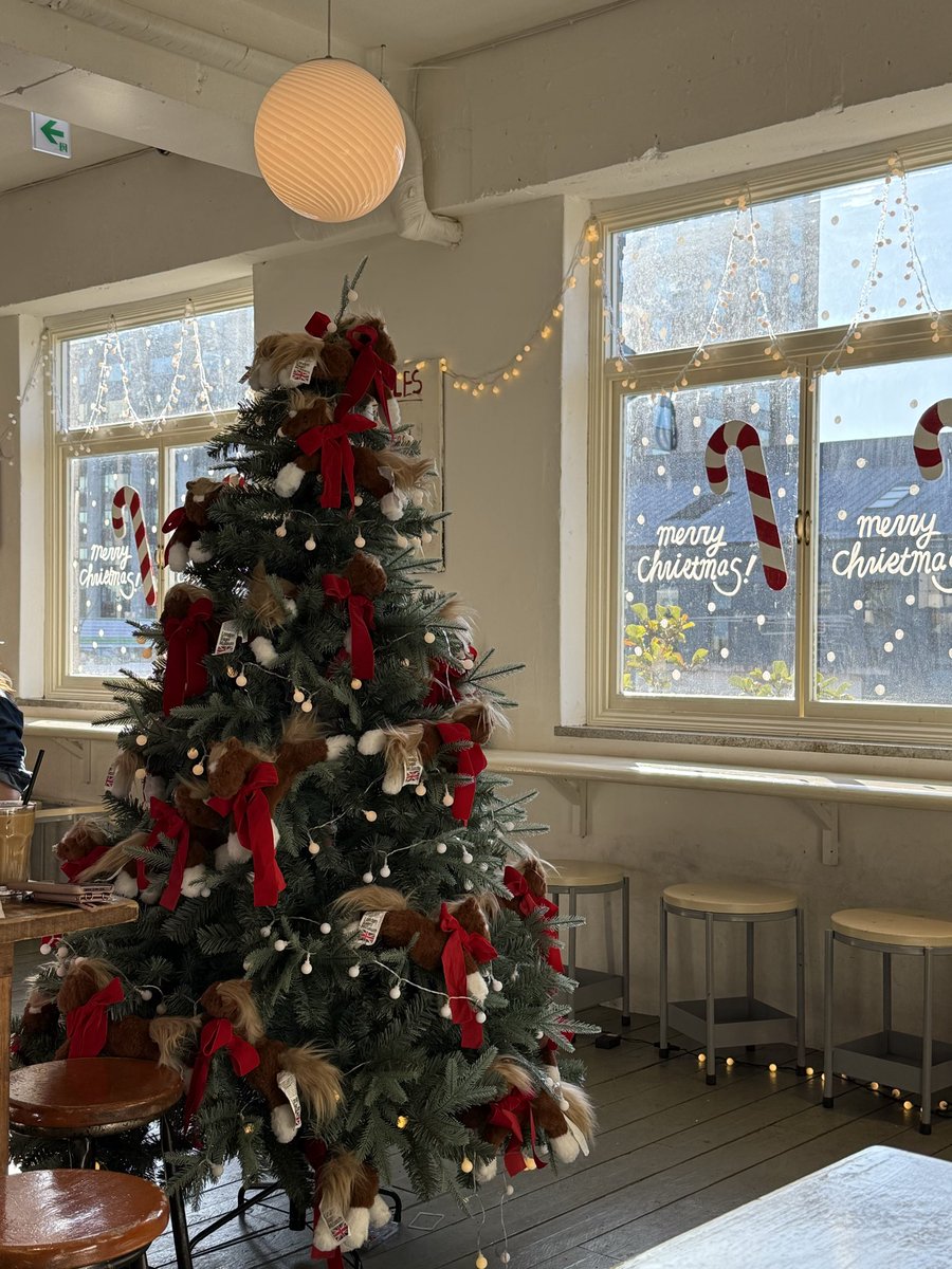 #メリークリスマス 🎅✨