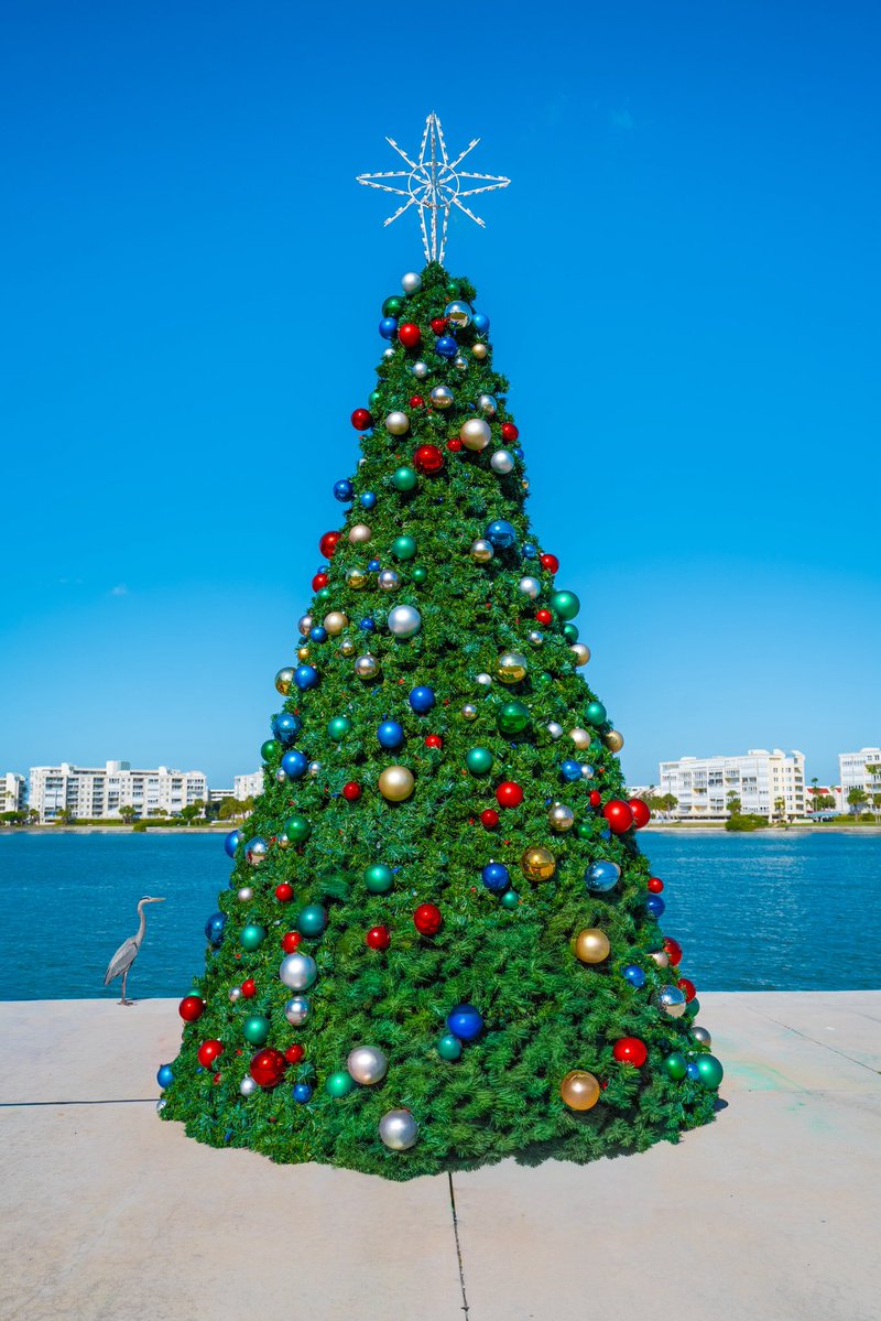 Celebrating the holidays, St. Pete style ☀️🎄 Sunshine, beaches, and a curious coastal guest! 

Wishing everyone a very Merry Christmas and Happy Holidays from TechTravel.com 

#merrychristmas #christmas #stpetebeach