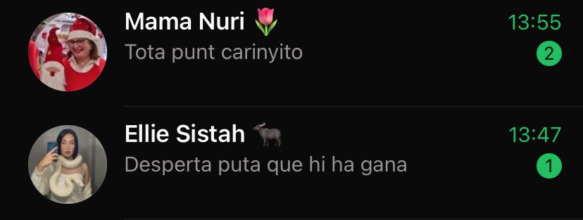 saissize's tweet image. les dues catalunyes