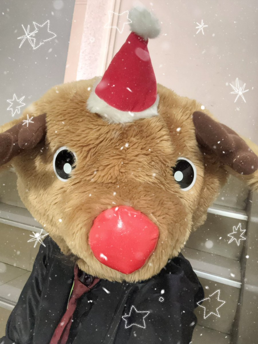 existtraceMally's tweet image. 激盛れ写真

🦌Happy holiday🎄