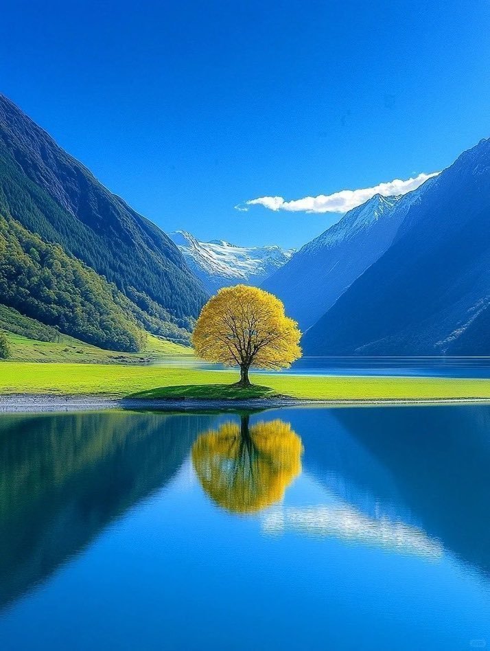 Aesthetics (@aestheticspost_) on Twitter photo 