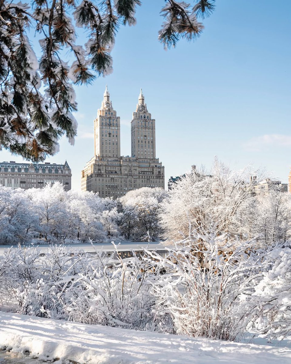 visualsofearth1's tweet image. Central Park, New York