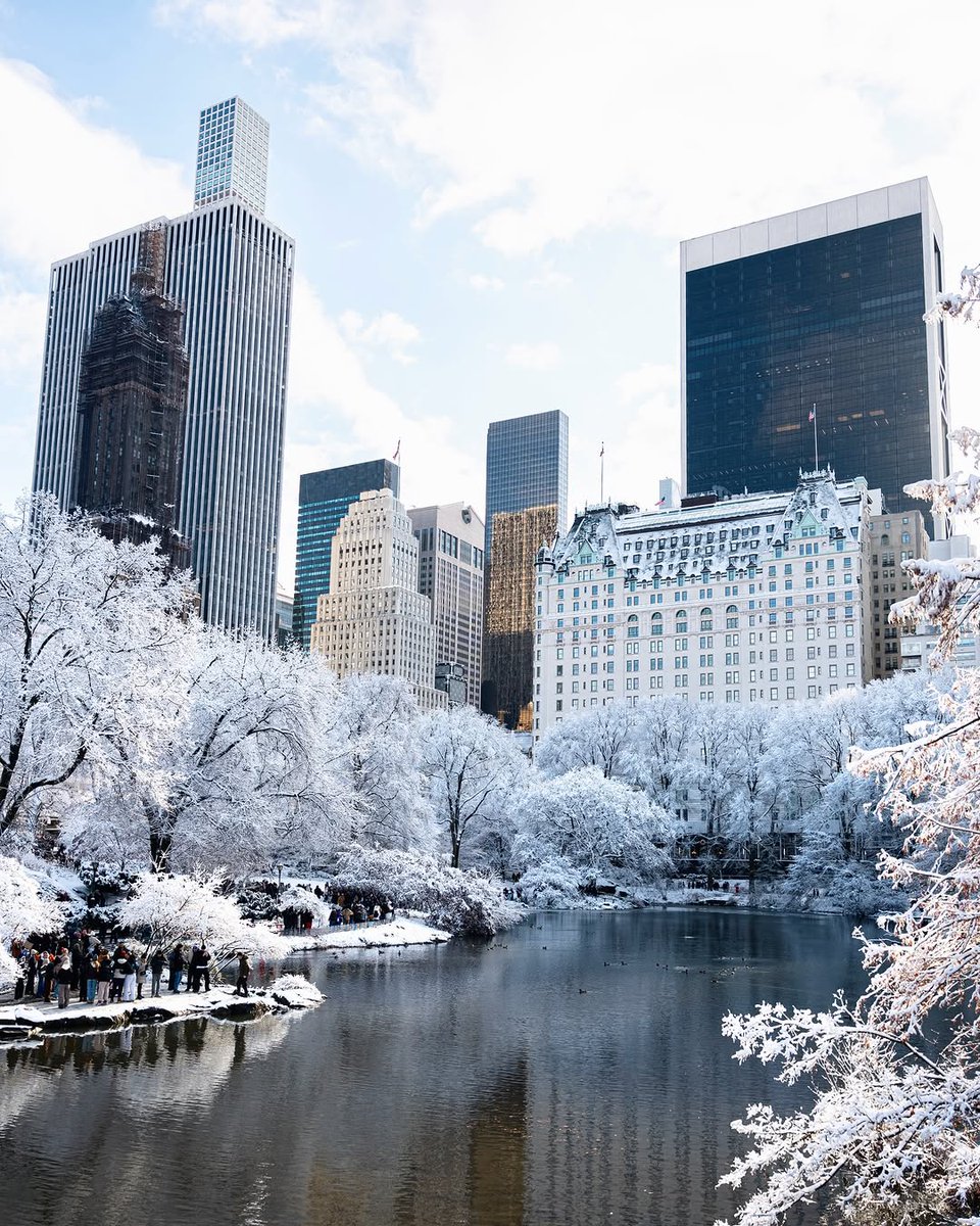 visualsofearth1's tweet image. Central Park, New York
