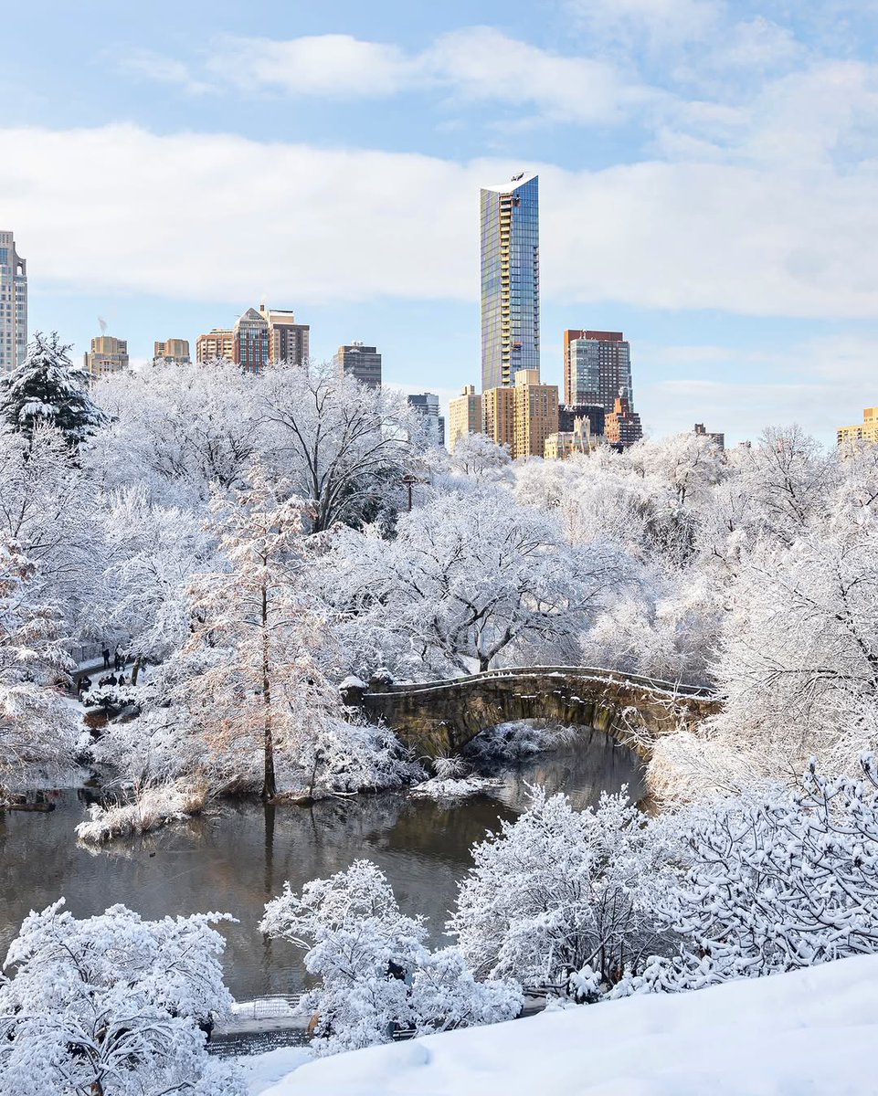 visualsofearth1's tweet image. Central Park, New York