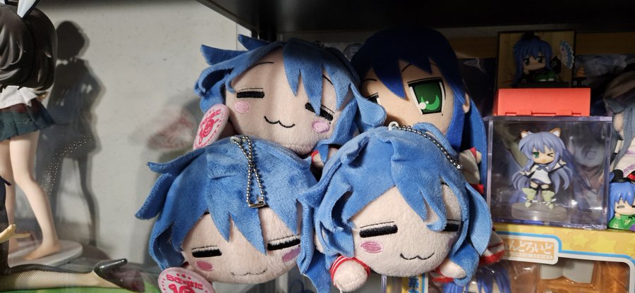 Konatabutreal's tweet image. 