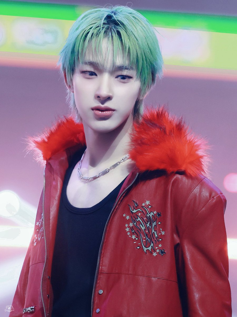 🎄🤴❤️🐧💚🤴🎄