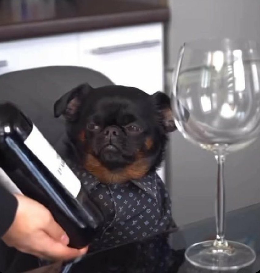 Me pretending to know wine at a restaurant