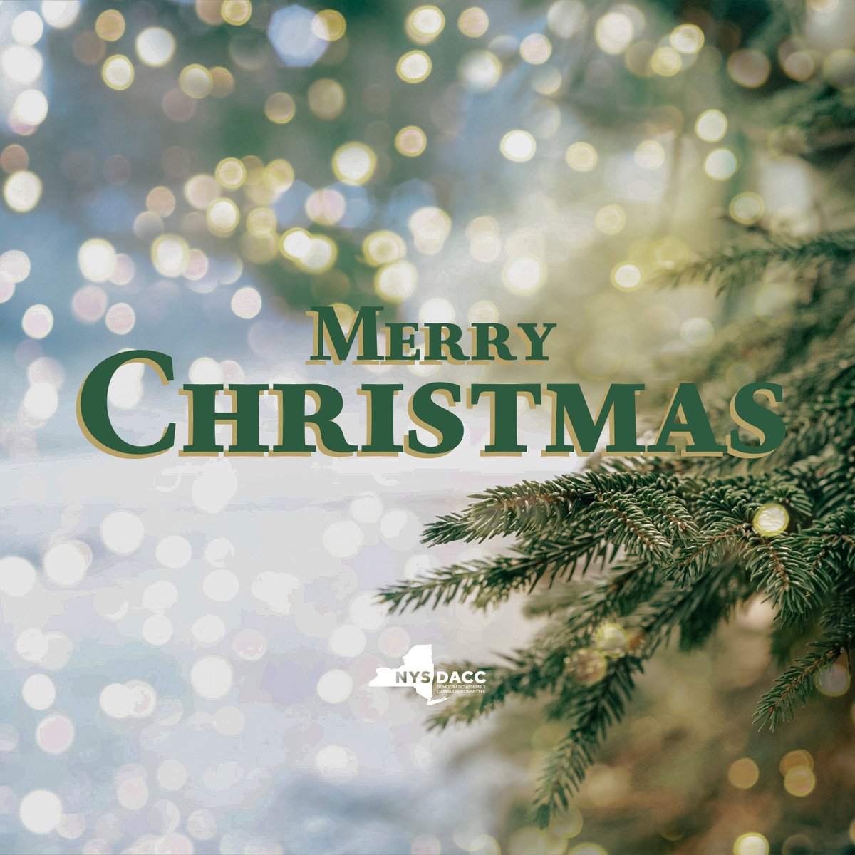NYS Assembly Democrats (DACC) tweet media