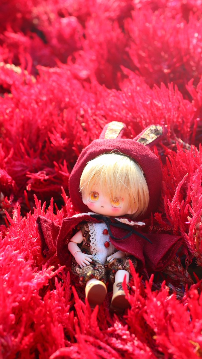 Aliascattered's tweet photo. 🎄🎉✨️ Happy birthday Victor 🎂🥰
#ビクター・グランツ誕生日2025
#idvpostman #VictorGrantz https://t.co/XY2eKYCCB4