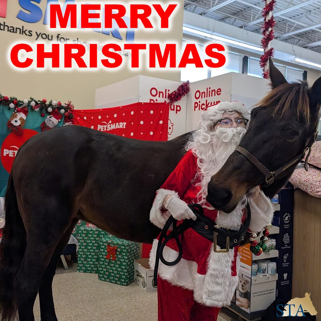 Standardbred Transition Alliance tweet media