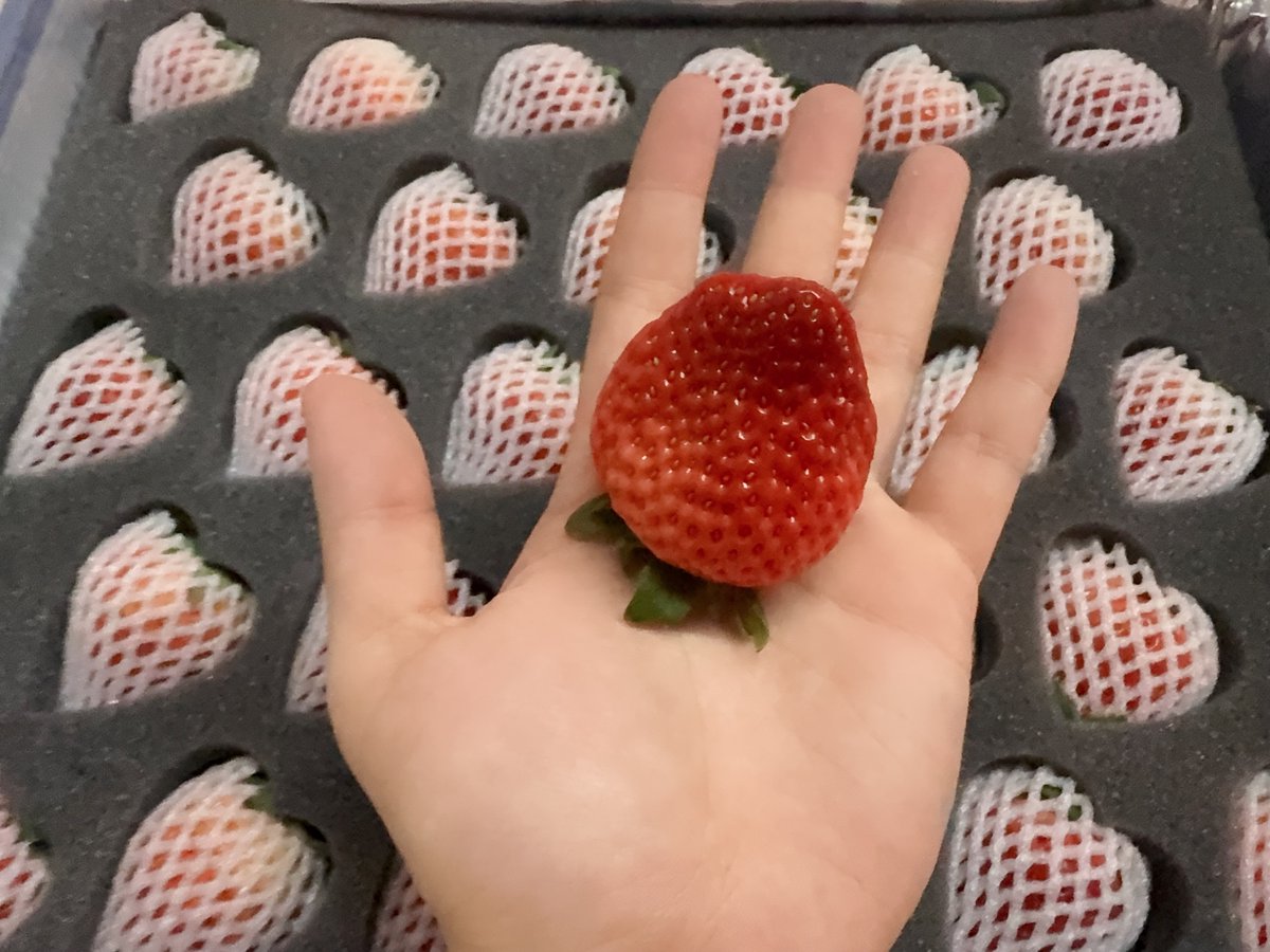 泵泵超人 | Pumpman 🔶 tweet media