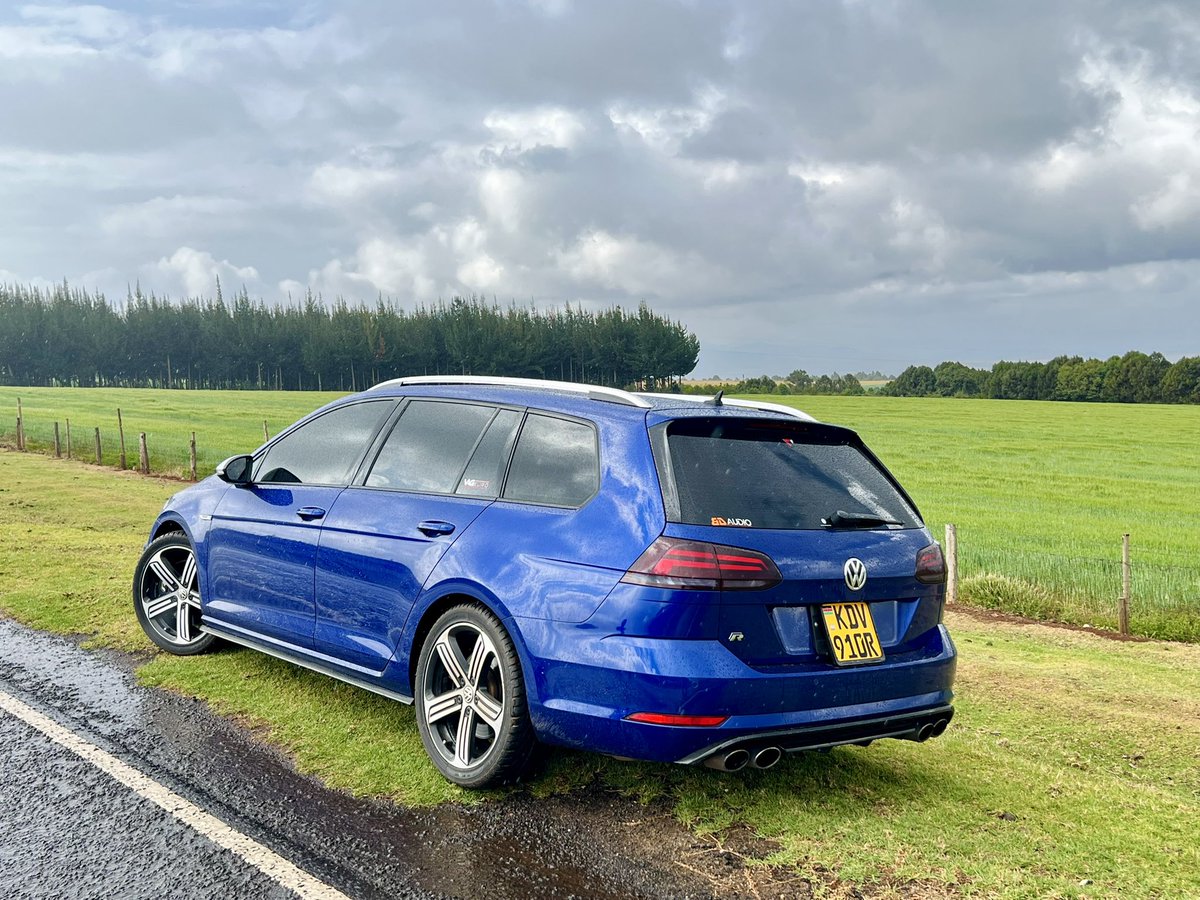 best purchase this year