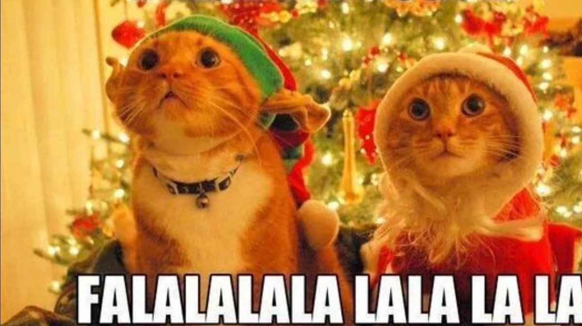 Bernadette tweet media