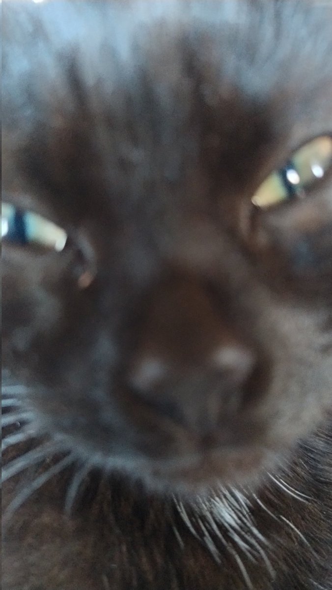 OnlyPrim7's tweet image. 