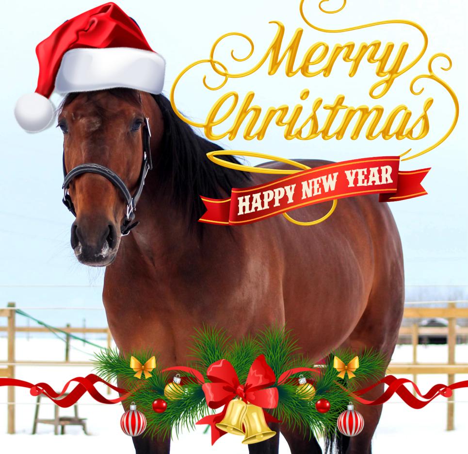 The Offspring International team wishes you a Merry Christmas 🎅