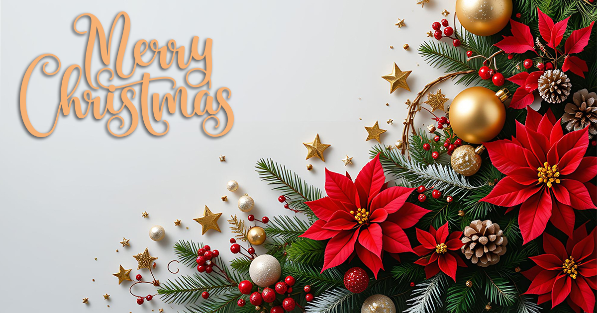 corestats's tweet photo. Merry Christmas &amp; happy holidays to everyone 🎄 #christmas #corestats https://t.co/knVlm4tRbw