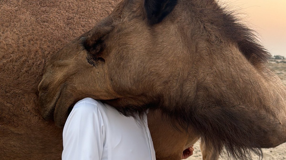 𝑱𝑩𝑹 tweet media