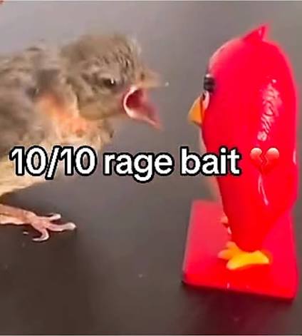 AxLeftcom's tweet image. J’ai dit que la sécurité sociale ct de la merde à un insoumis ptdr il a trop mal pris