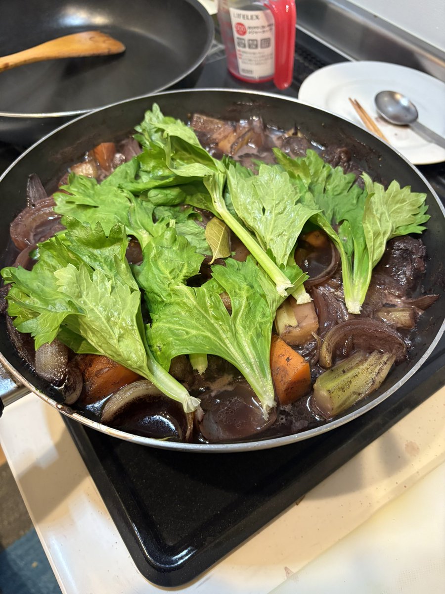 zinzin_dramatic's tweet image. 牛スネ肉の赤ワイン煮込み
4時間半かかった😭✨
うますぎて…馬になったわね(懐かしいな)
happyXmas！！