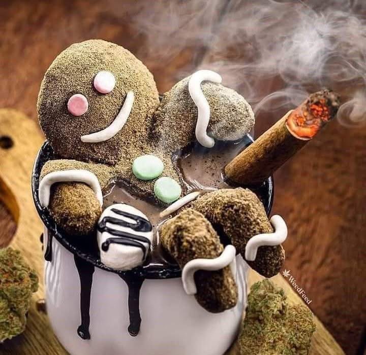 HighAngel's tweet image. Good morning 🌤️

Merry Christmas! 🎄 

I hope all is well

It’s late for me, I must’ve gotten up and went back to bed 6 times lol I just couldn’t stay awake

Have a beautiful day~ I wish you the best!

Stay lifted ✨💨💨