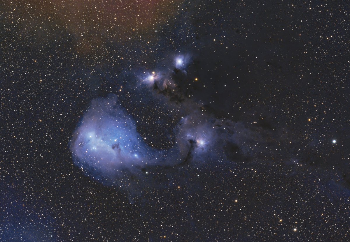 ギリ間に合ったクリスマスツリー星団（星雲）です。

派手目ですが、海の向こうの季節ものですからこれでいいかとも思います。
同じく、怪しいガスっぽいのも大目に見てください。

かたつむり星雲もこれはこれで主役級と再認識しましたね。そうは見えない気もしますが…