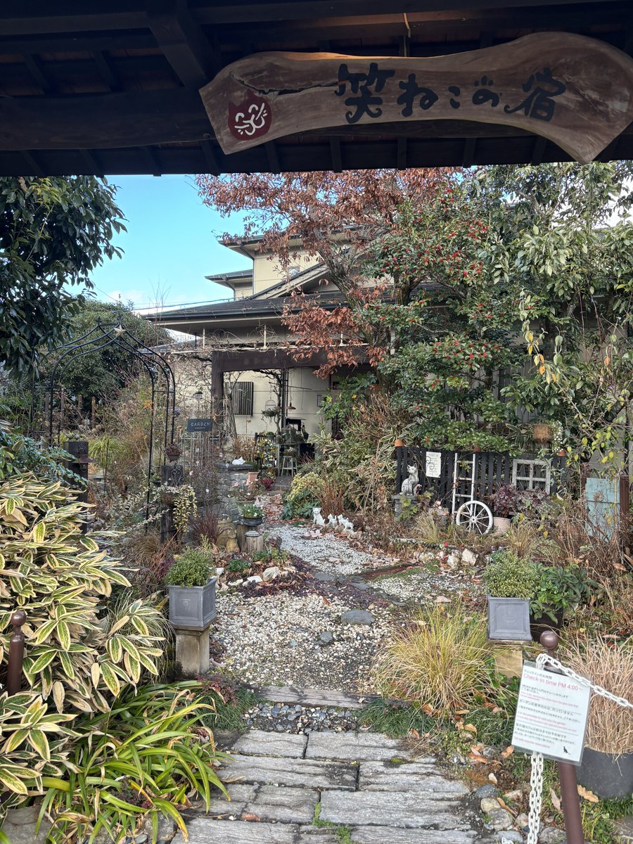 Kenchanstart's tweet photo. in大分
ジブリの森めっちゃ楽しくてフクロウとか色々見れて楽しかった😙
泊まる宿は笑ねこの宿！
猫カフェもあって可愛かった(*´ω`*) https://t.co/ejHmvJFl5i