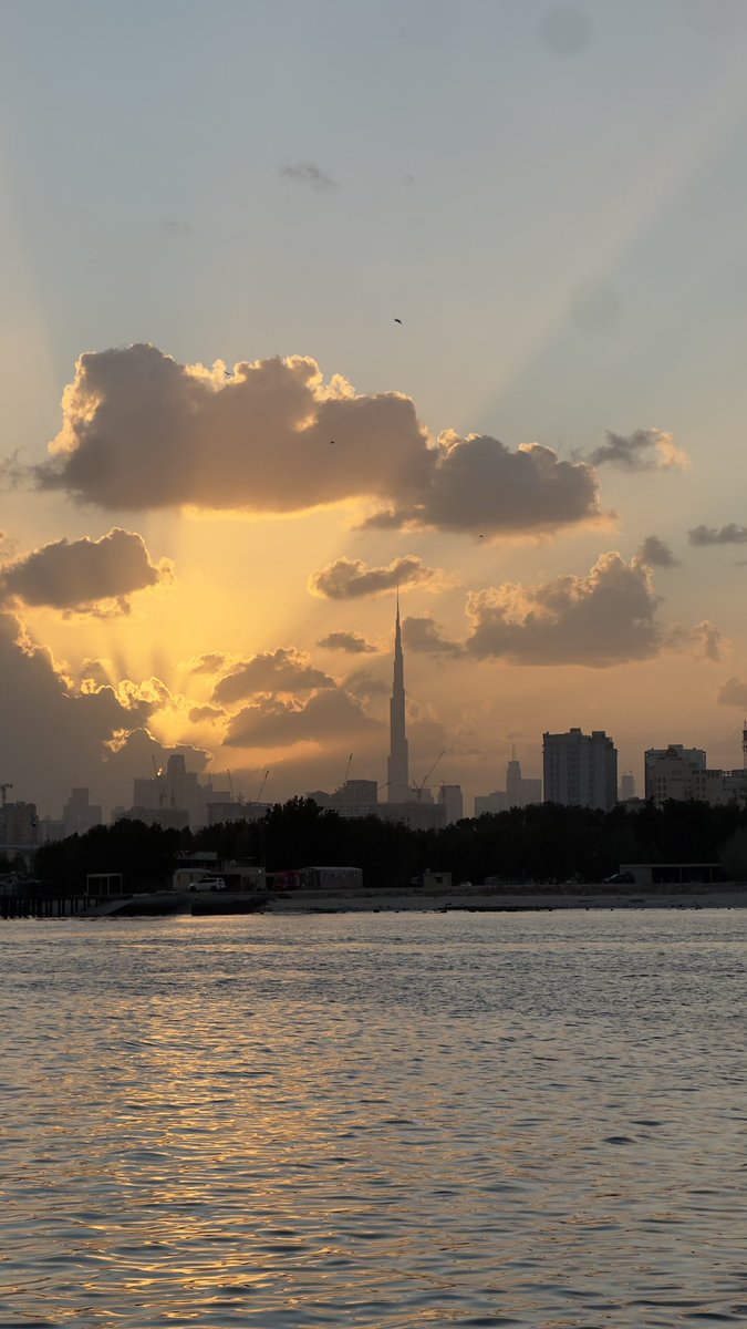 Mohammed Alharbi tweet media