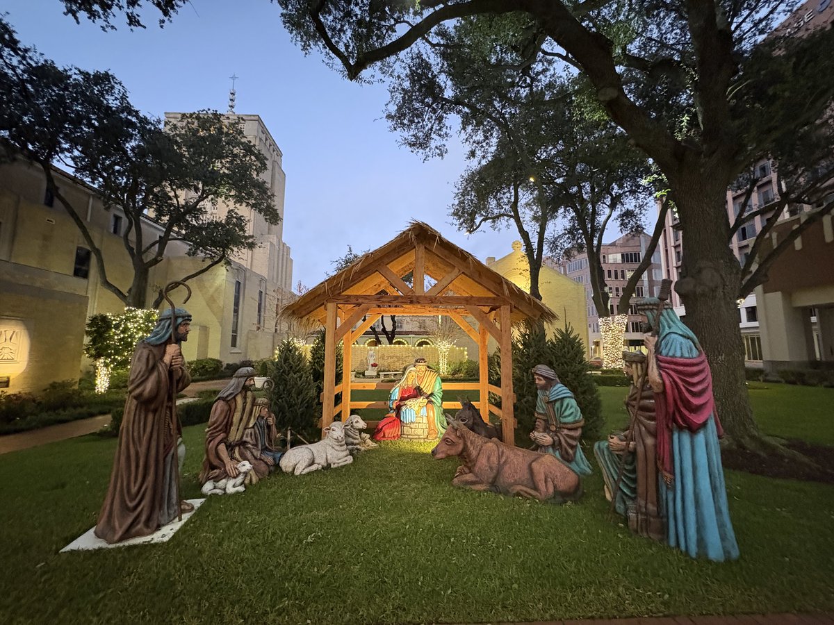 PoniesDallas's tweet image. Merry Christmas!✝️🙏🇺🇸