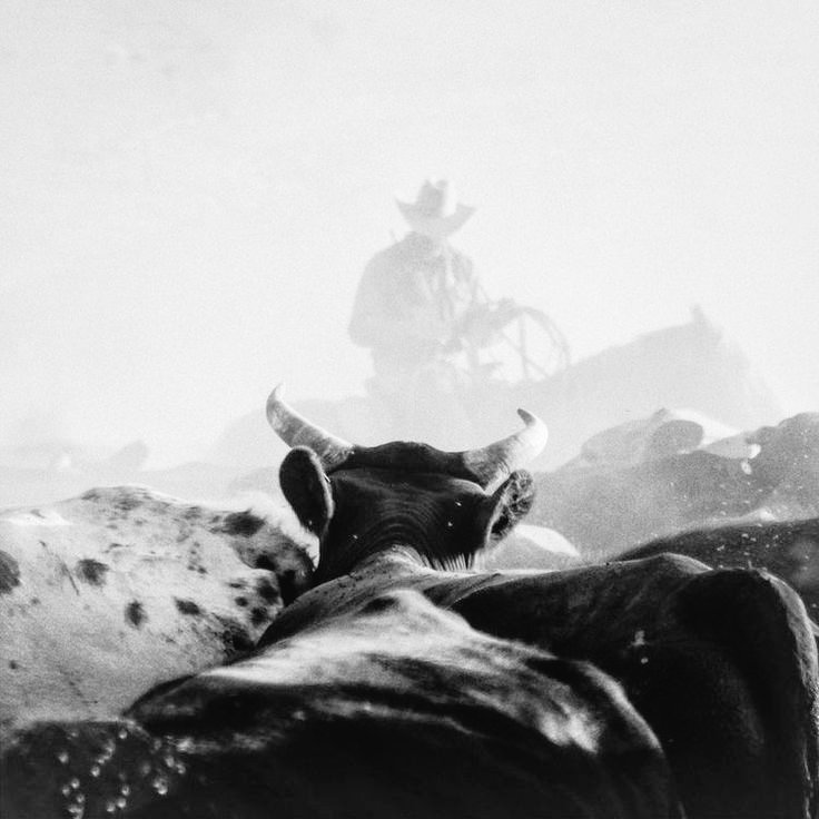 Rokwstar's tweet image. Help repost!

Selamat malam, saya bawa 2 layout ready stock Cillian Murphy dan Tom Cruise. Silahkan ketuk saya untuk menjemput duo tampan ini.

R. #zonauang #zonajajan #zonabu