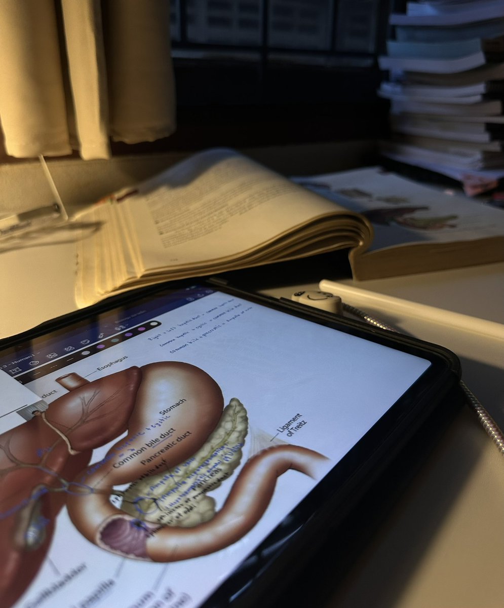 omelette (logout twt,ngl) (@fluermlette) on Twitter photo 